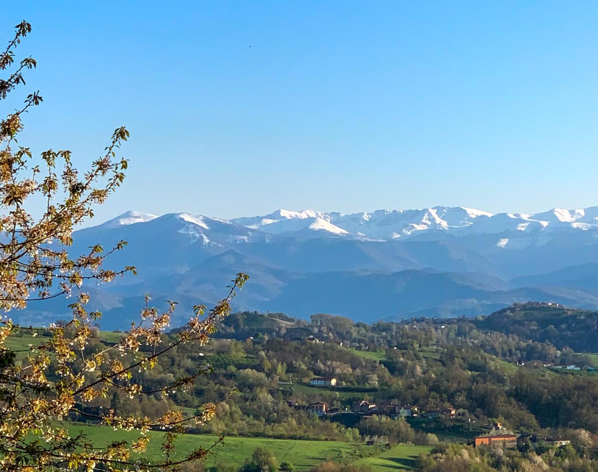 Vila Just Langhe Casa Barolo Novello Exteriér fotografie