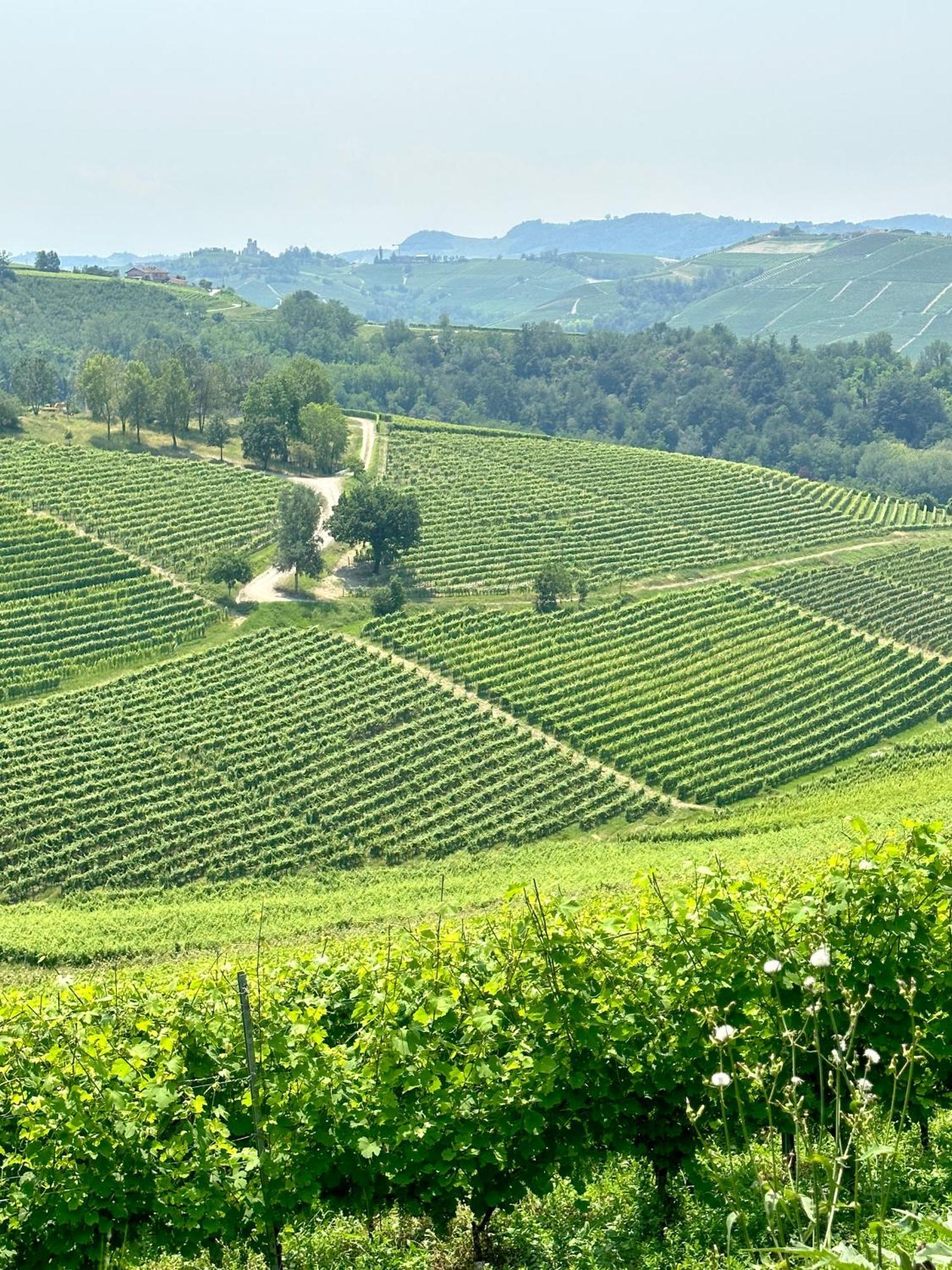 Vila Just Langhe Casa Barolo Novello Exteriér fotografie