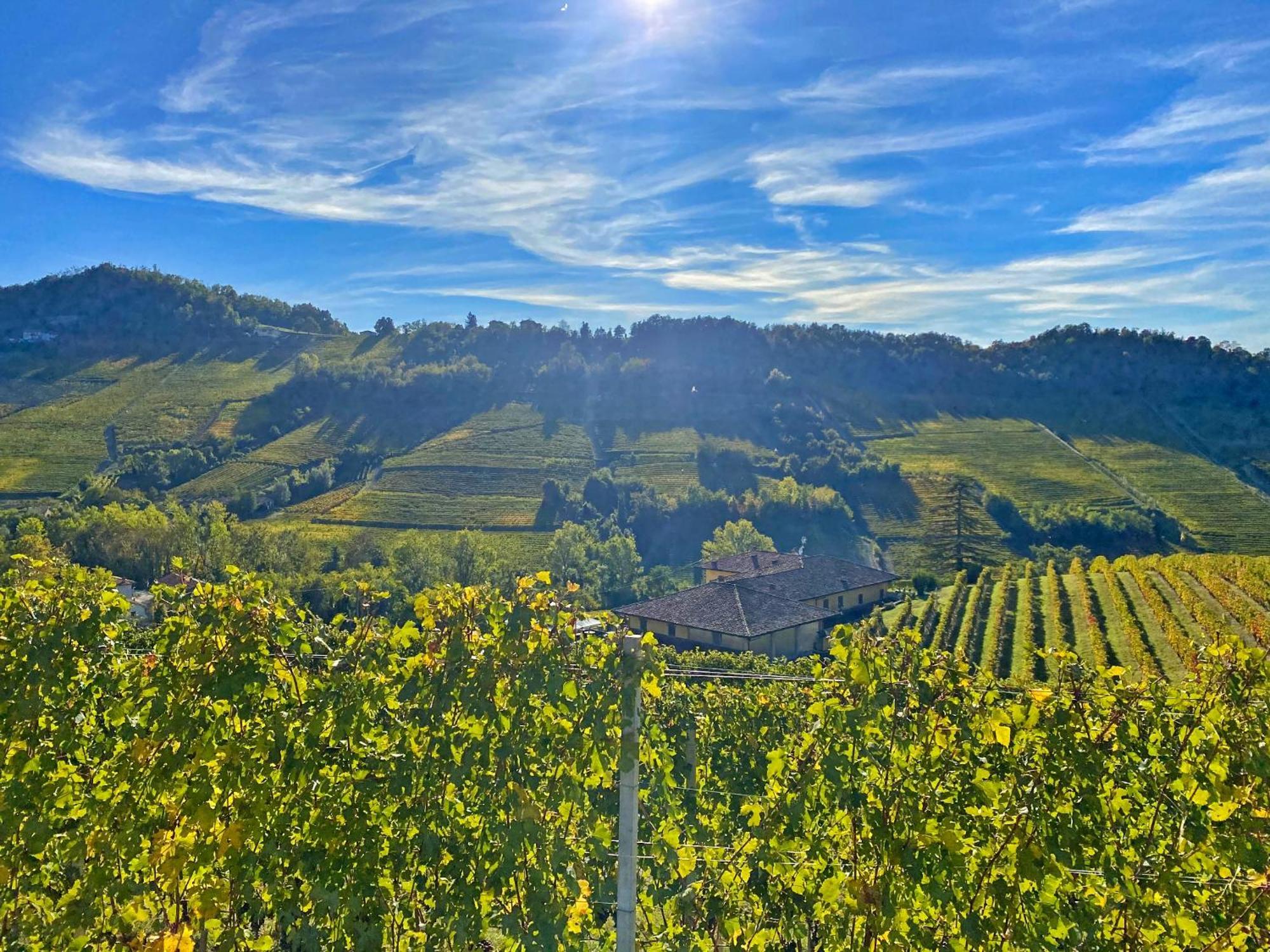 Vila Just Langhe Casa Barolo Novello Exteriér fotografie